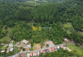 DJI_0813.JPG