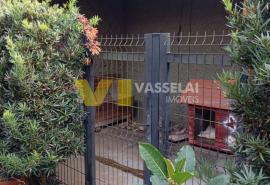 WhatsApp Image 2025-05-27 at 10.49.31.jpeg