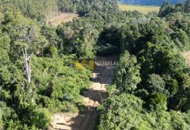 DJI_0537.JPG