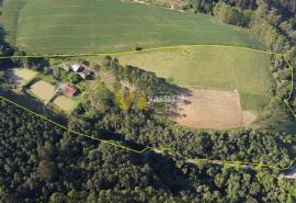 DJI_0999.JPG