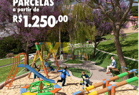 PA_campanha-lançamento_feed_seq5.png