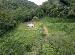 image5.jpg