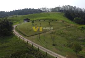 DJI_0515.JPG