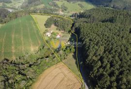 DJI_0006.JPG