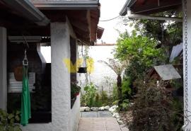 IMG-20190128-WA0008.jpg