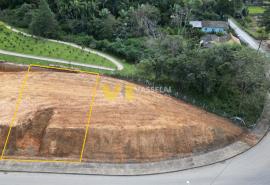 DJI_0104.JPG