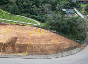 DJI_0104.JPG