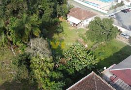 DJI_0371.JPG