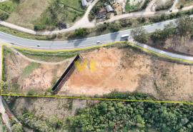 DJI_20250818152426_0044_D.JPG