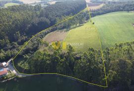 DJI_0991.JPG