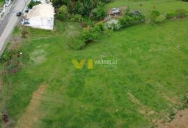 DJI_0161.JPG