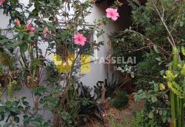 WhatsApp Image 2025-05-27 at 10.49.29 (1).jpeg