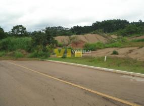 image1.jpg