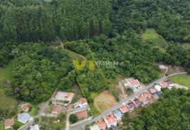 DJI_0810.JPG
