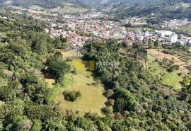 DJI_20250822100207_0035_D.JPG