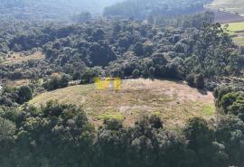 DJI_20250715141346_0005_D.JPG