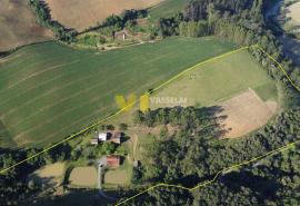 DJI_0002.JPG