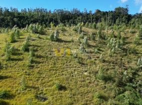 DJI_0150.JPG