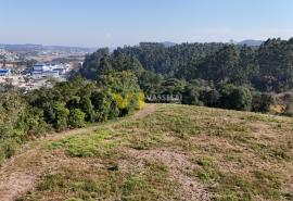 DJI_20250715141250_0002_D.JPG