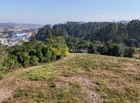 DJI_20250715141250_0002_D.JPG