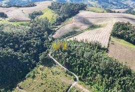 DJI_0169.JPG