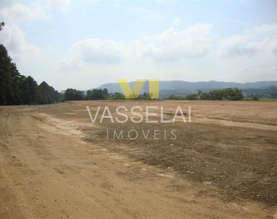 Terreno de topografia plana com frente para a BR 470 em 402,25 metros.