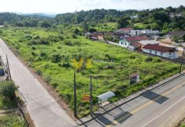 DJI_0969.JPG