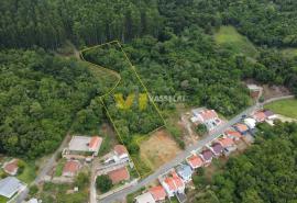 DJI_0808.JPG