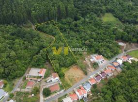 DJI_0808.JPG