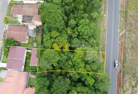 DJI_0710.JPG
