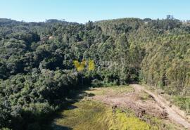 DJI_0523.JPG