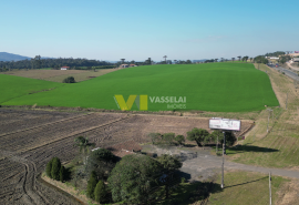 vlcsnap-2025-07-08-15h38m18s483.png