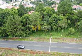 DJI_0713.JPG