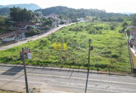 DJI_0966.JPG