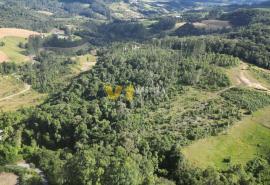 DJI_0190.JPG