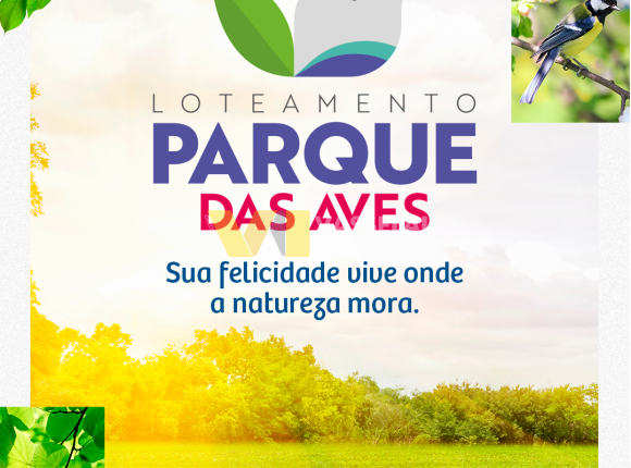 PA_campanha-lançamento_feed_seq1.png