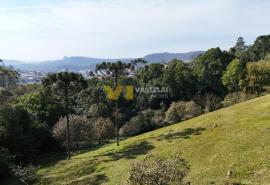 DJI_20250822100041_0028_D.JPG