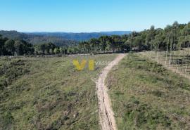 DJI_0550.JPG
