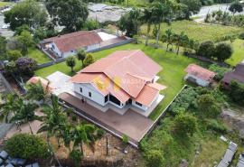 DJI_0921.JPG