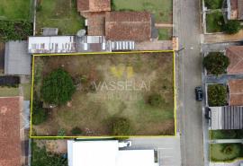 DJI_0610.JPG