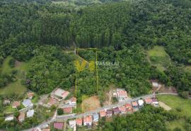 DJI_0812.JPG