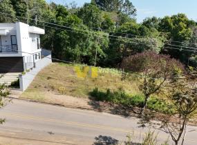 DJI_20250822141144_0013_D.JPG