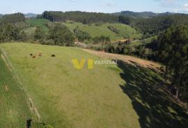 DJI_0985.JPG
