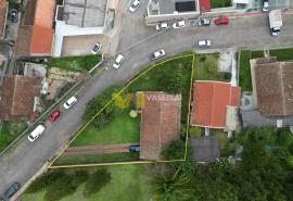 DJI_0146.JPG