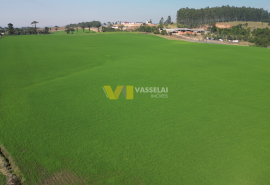 vlcsnap-2025-07-08-15h39m11s210.png