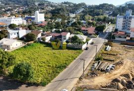 DJI_20250715151428_0098_D.JPG