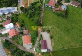 DJI_0249.JPG