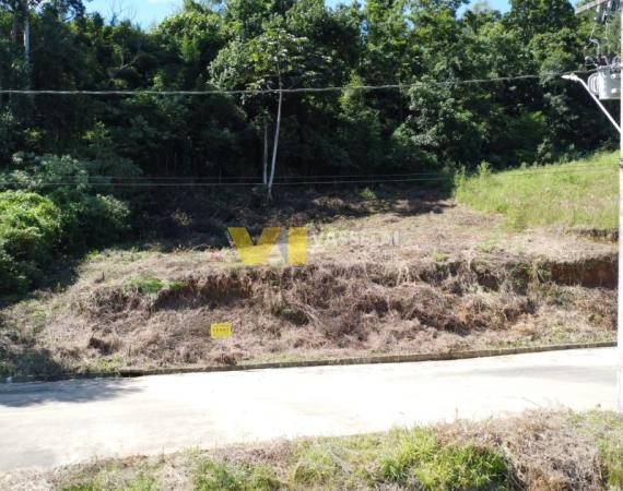 Lote 67 da Quadra F - Loteamento Novo Milenio II