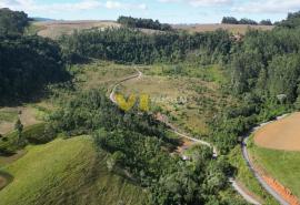 DJI_0158.JPG