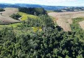 DJI_0217.JPG